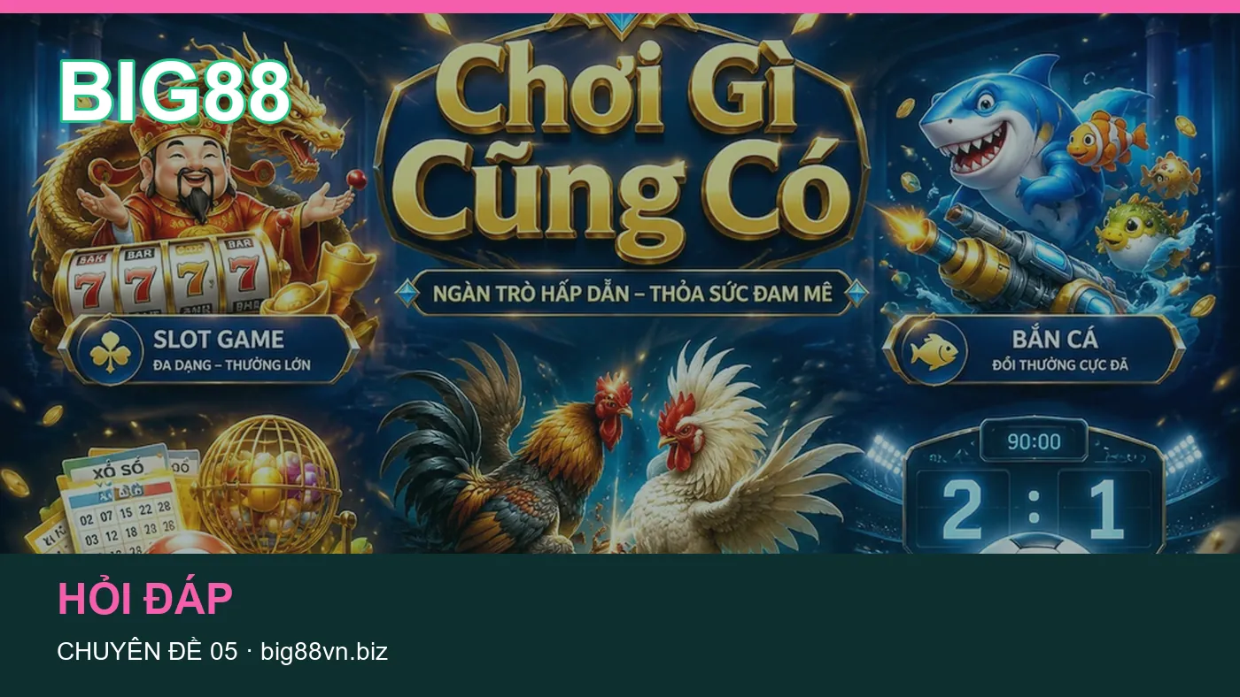 Đối chiếu nguồn và thời điểm cập nhật trong Tài khoản của BIG88