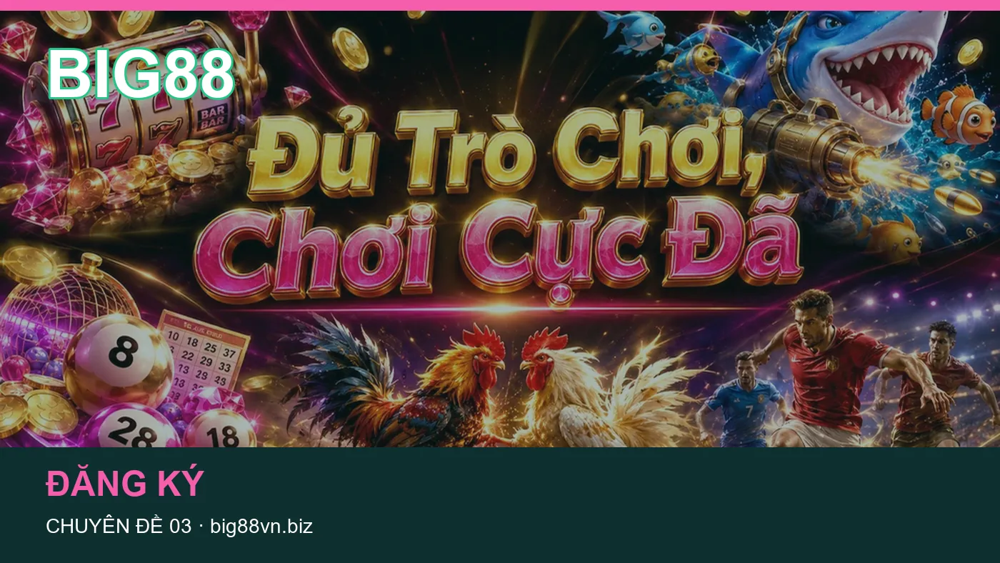 Hỏi đáp về Tài khoản: quy trình tự kiểm tra trên BIG88