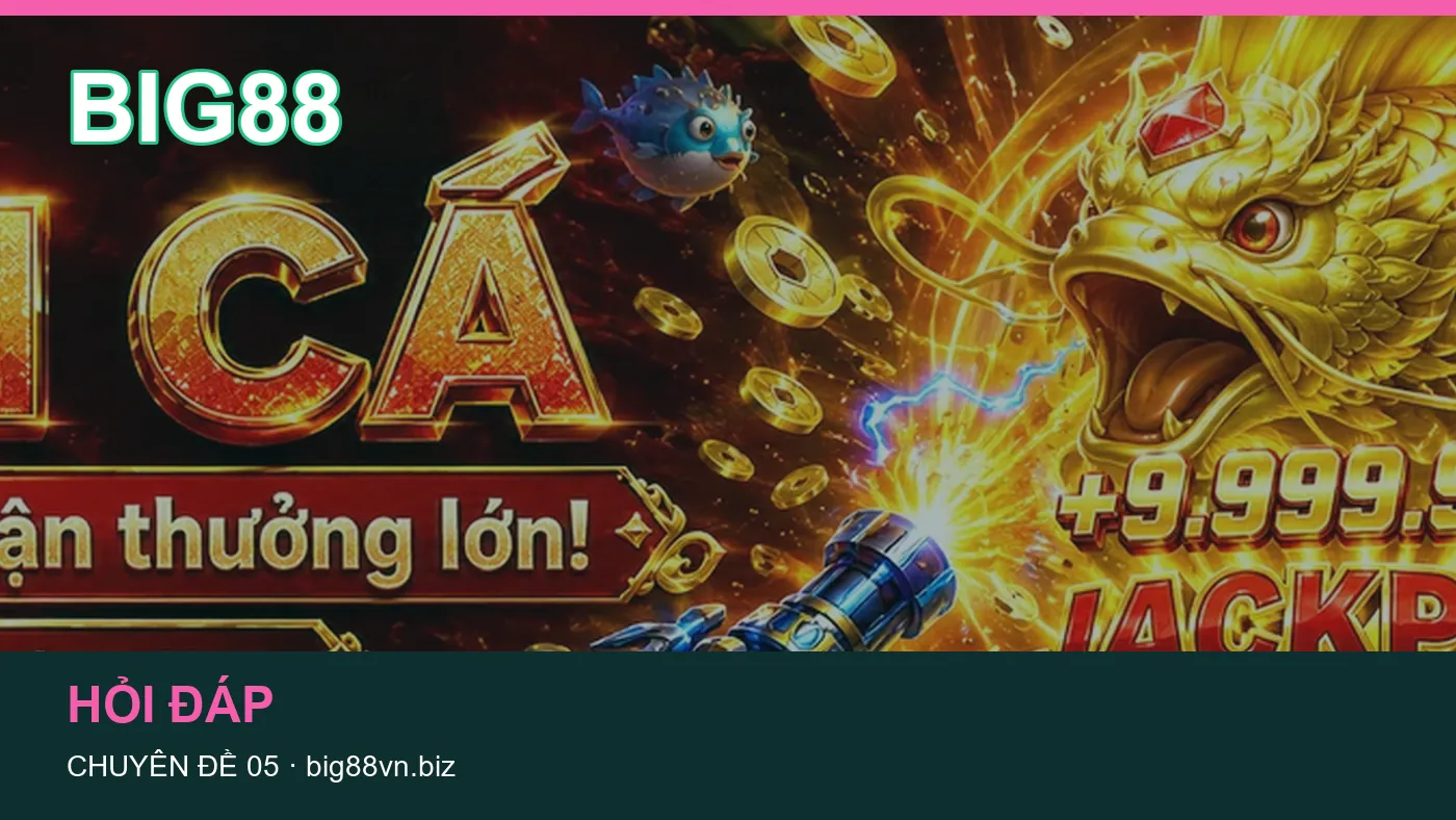 Hình minh họa bài viết BIG88
