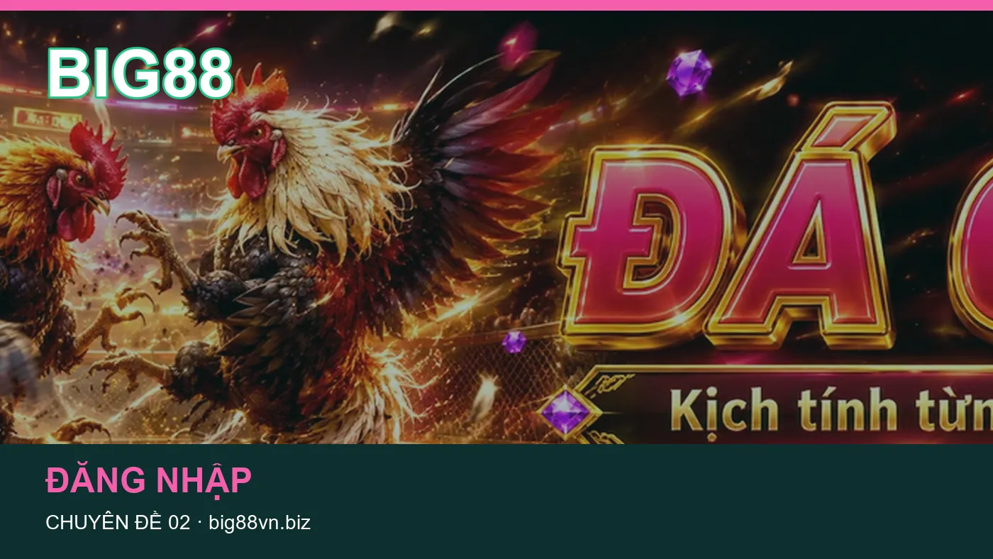 Hình minh họa bài viết BIG88