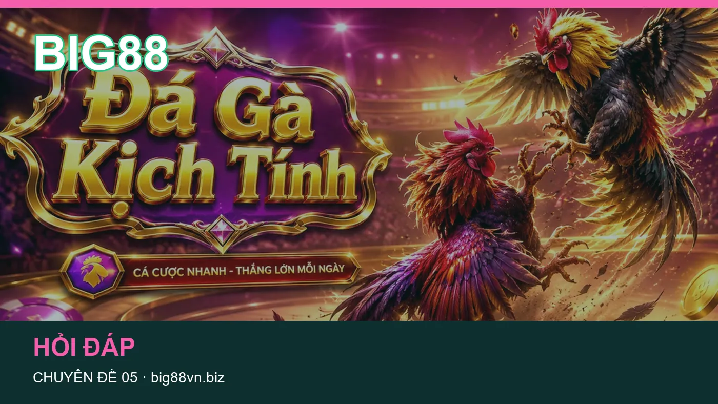 Hình minh họa bài viết BIG88