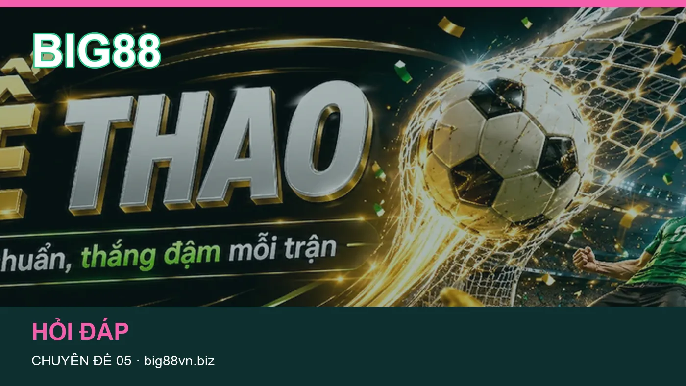 Hỏi đáp về Hỏi đáp: quy trình tự kiểm tra trên BIG88